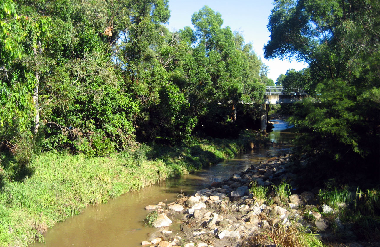 downfalls creek bushland