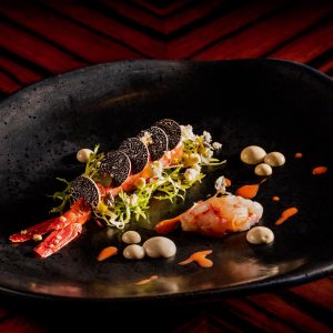 Bacchus-West-End-Magazine4