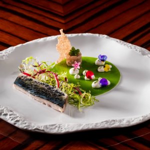 Bacchus-West-End-Magazine4