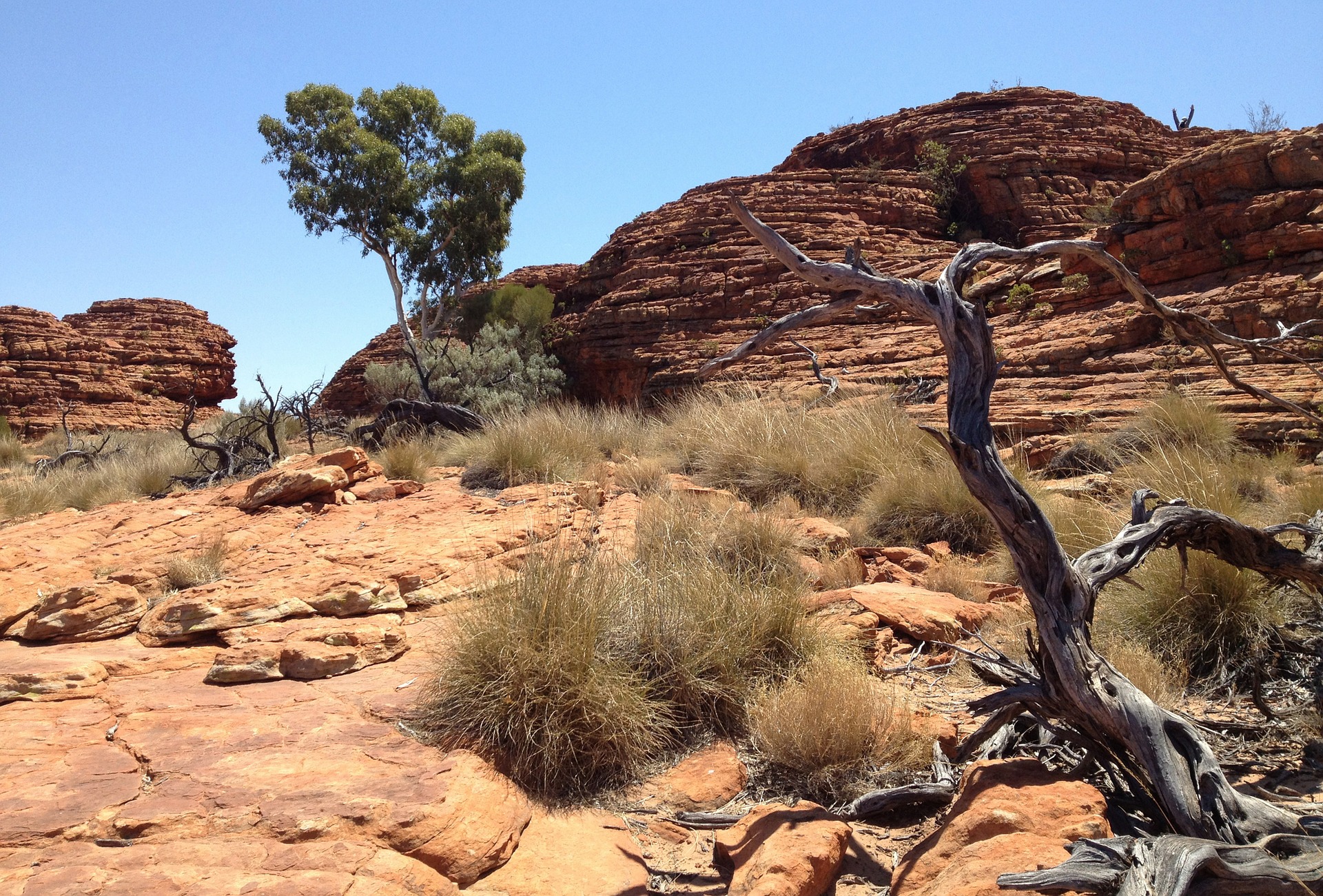 outback, up close - WEM Mag
