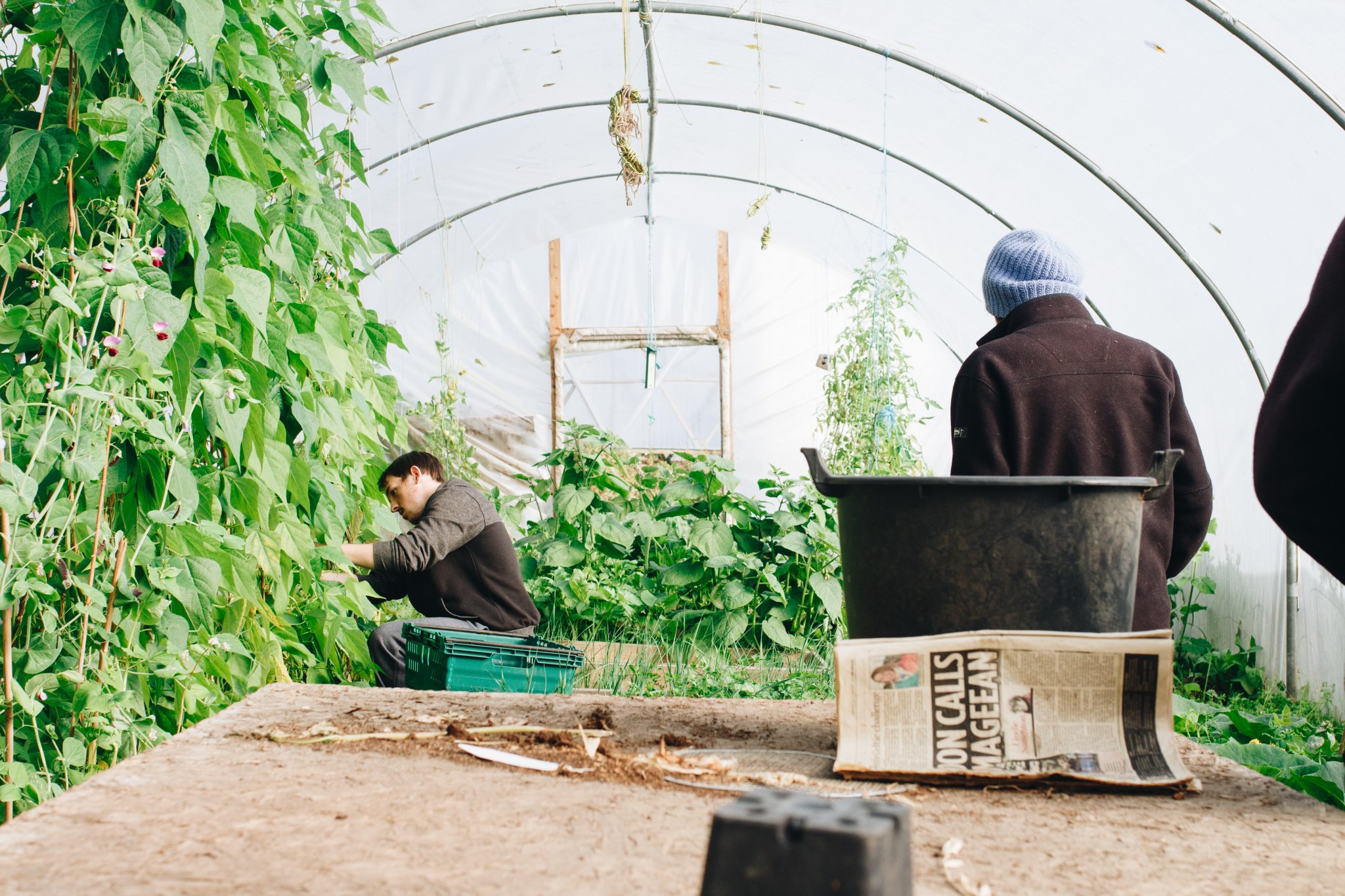permaculture