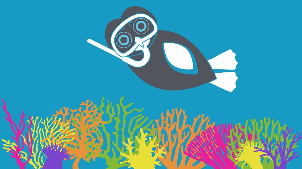 swim-for-the-reef