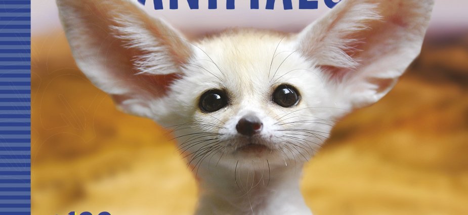 Book-World's-Cutest-Animals-West-End-Magazine