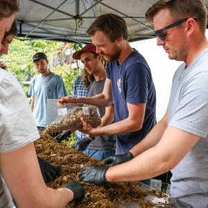 Gourmet Mushrooms - The West End Magazine