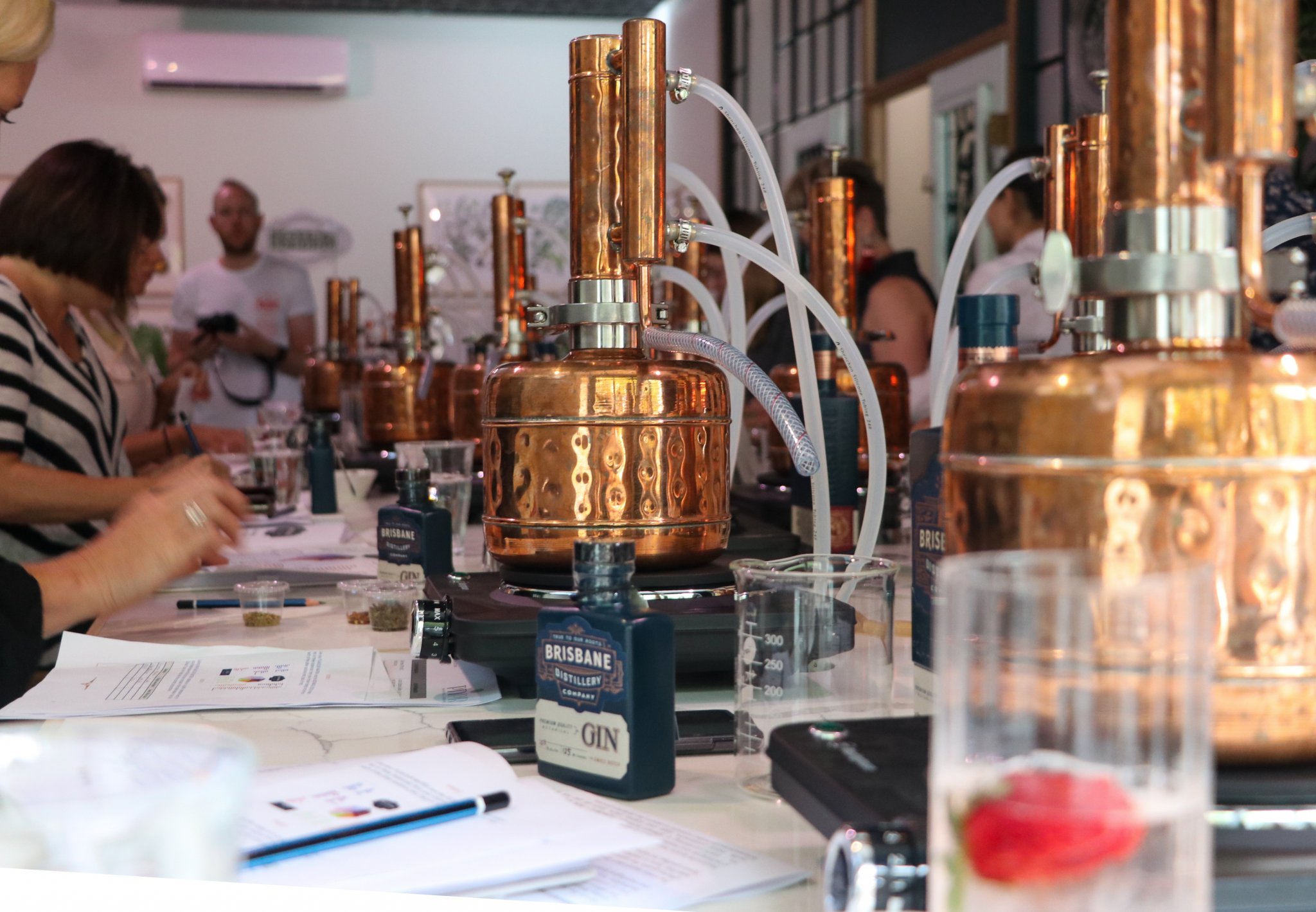 Welcome to Gin School - The West End Magazine | 4101 Brisbane