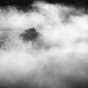 Mist-on-Ballandean